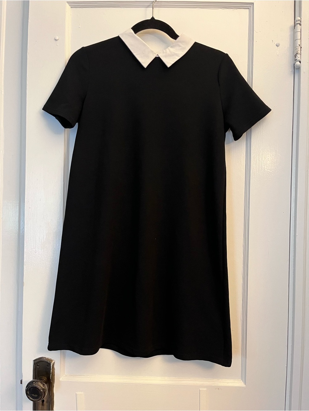 Zara Black Mini Dress with White Pointed Collar